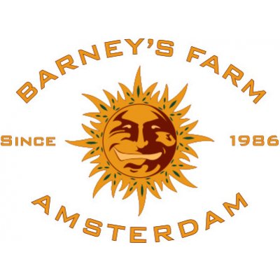 barneys farm